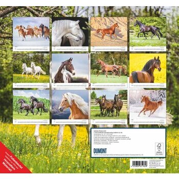 Maxi Calendrier 2024 Chevaux