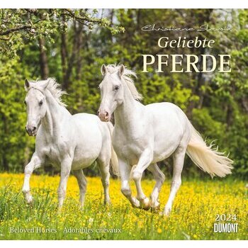 Maxi Calendrier 2024 Chevaux Maxi Calendrier 2024 Chevaux