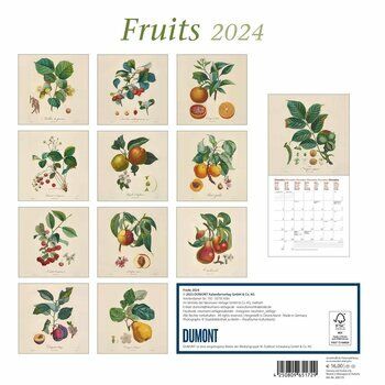 Calendrier 2024 Dessin fruit retro