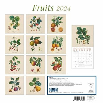 Calendrier 2024 Dessin fruit retro Calendrier 2024 Dessin fruit retro