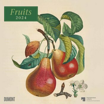 Calendrier 2024 Dessin fruit retro