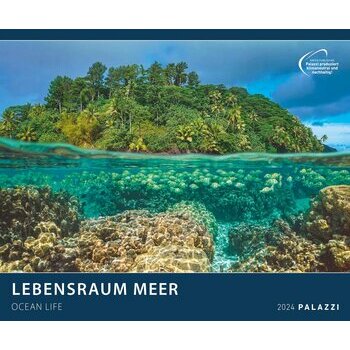 Maxi Calendrier 2024 Vie sous marine Maxi Calendrier 2024 Vie sous marine