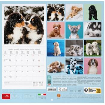 Calendrier 2024 Chiot