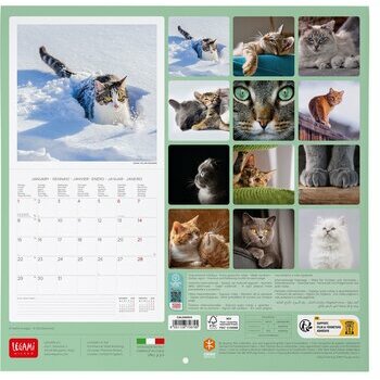 Calendrier 2024 Chat Calendrier 2024 Chat