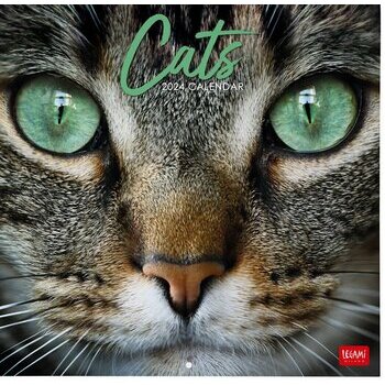 Calendrier 2024 Chat Calendrier 2024 Chat