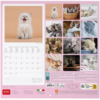 Calendrier 2024 Chatons