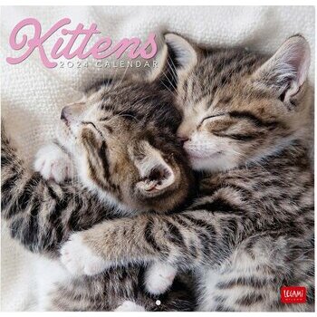 Calendrier 2024 Chatons Calendrier 2024 Chatons