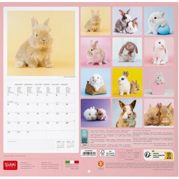 Calendrier 2024 Lapin