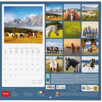 Calendrier 2024 Chevaux