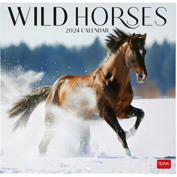 Calendrier 2024 Chevaux Calendrier 2024 Chevaux
