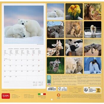 Calendrier 2024 animaux - les AniMots de Sagesse