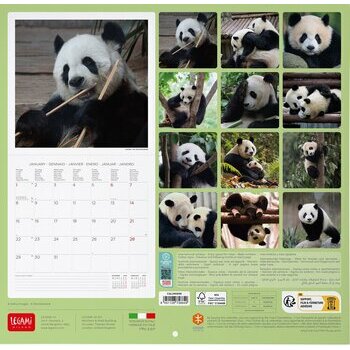 Calendrier 2024 Panda