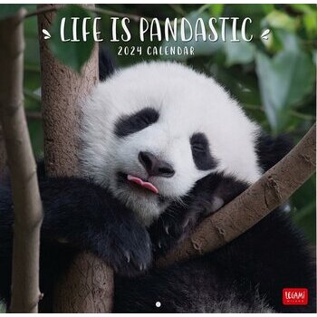 Calendrier 2024 Panda Calendrier 2024 Panda