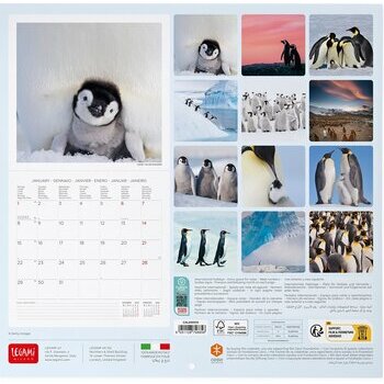 Calendrier 2024 Pingouin