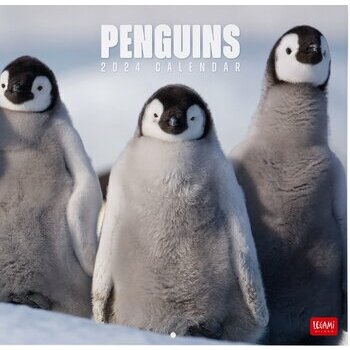 Calendrier 2024 Pingouin
