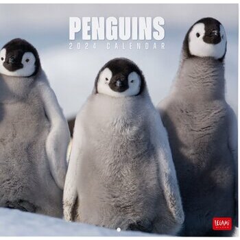 Calendrier 2024 Pingouin Calendrier 2024 Pingouin