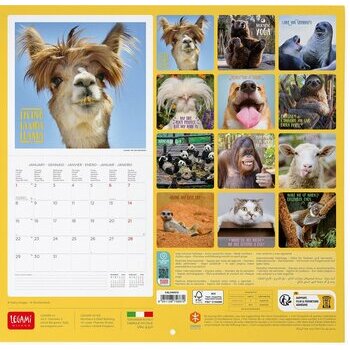 Calendrier 2024 Animaux cool Calendrier 2024 Animaux cool