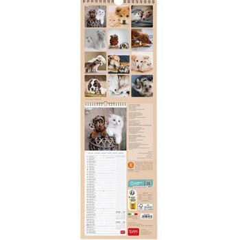 Calendrier slim 2024 Meilleurs amis Calendrier slim 2024 Meilleurs amis