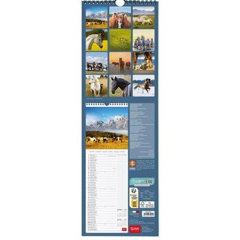 Calendrier slim 2024 Chevaux Calendrier slim 2024 Chevaux