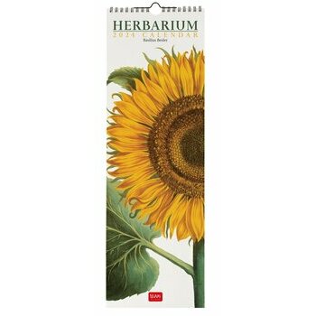 Calendrier slim 2024 Herbier rétro Calendrier slim 2024 Herbier rétro