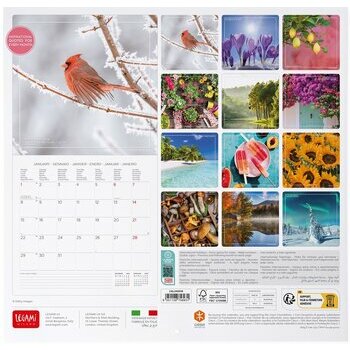 Mini Calendrier 2024 4 saisons Mini Calendrier 2024 4 saisons