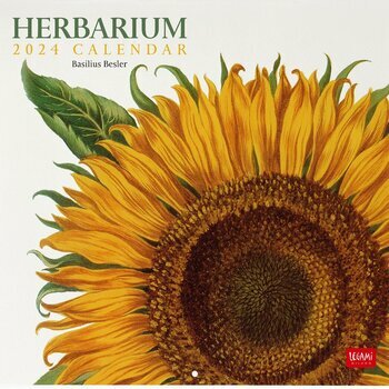 Mini Calendrier 2024 Herbier Mini Calendrier 2024 Herbier