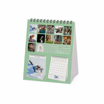 CALENDRIER CHEVALET CHAT 2024 CALENDRIER CHEVALET CHAT 2024