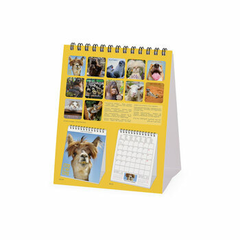 CALENDRIER CHEVALET ANIMAUX COOL 2024