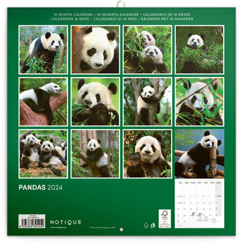 Calendrier 2024 Panda