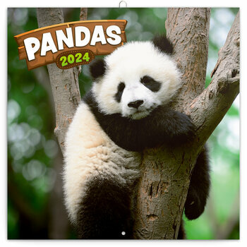 Calendrier 2024 Panda Calendrier 2024 Panda