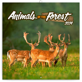 Calendrier 2024 Animaux de la forêt Calendrier 2024 Animaux de la forêt