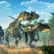 Calendrier 2024 Dinosaure