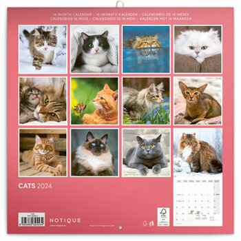 Calendrier 2024 Chat heureux