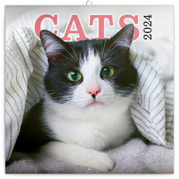 Calendrier 2024 Chat heureux Calendrier 2024 Chat heureux