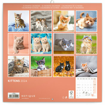 Calendrier 2024 Chaton heureux