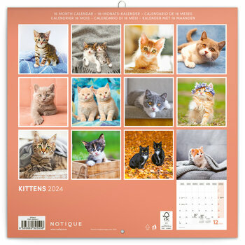 Calendrier 2024 Chaton heureux Calendrier 2024 Chaton heureux