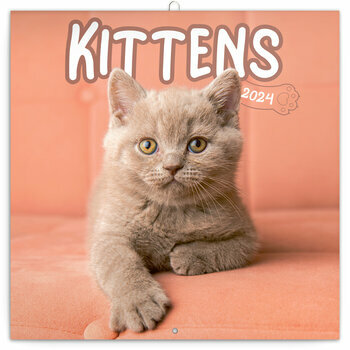 Calendrier 2024 Chaton heureux Calendrier 2024 Chaton heureux