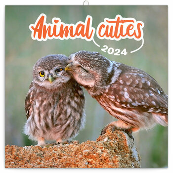 Calendrier 2024 Animaux cute
