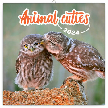 Calendrier 2024 Animaux cute Calendrier 2024 Animaux cute