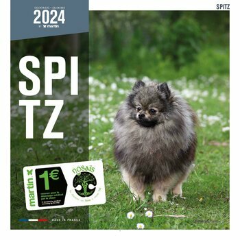 Calendrier 2024 Spitz nain