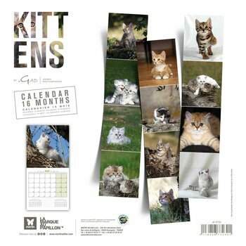 Calendrier 2024 Chatons