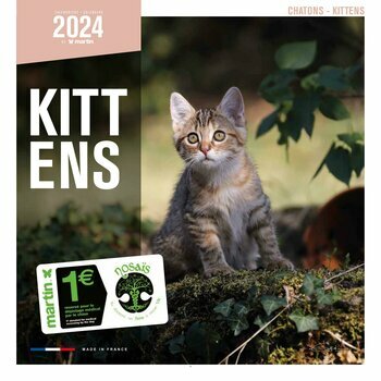 Calendrier 2024 Chatons