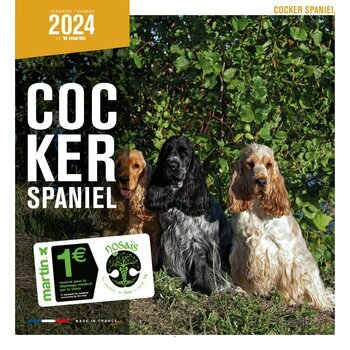 Calendrier 2024 Cocker anglais