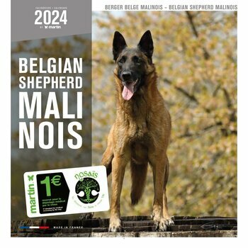 Calendrier 2024 Berger Belge Malinois