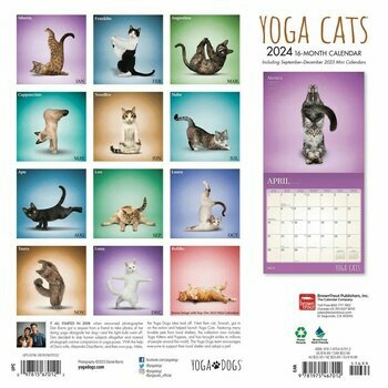 Calendrier 2024 chats yoga