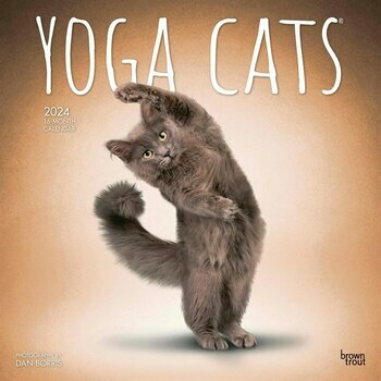 Calendrier 2024 chats yoga Calendrier 2024 chats yoga