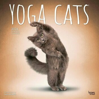 Calendrier 2024 chats yoga