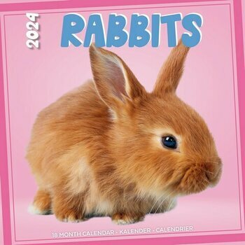 Calendrier 2024 Lapin studio Calendrier 2024 Lapin studio