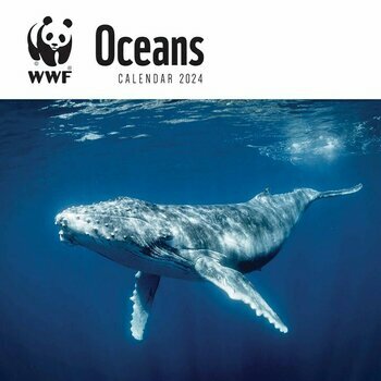 Calendrier 2024 WWF Ocean