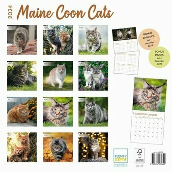 Calendrier 2024 Maine coon